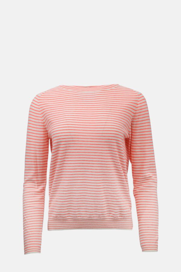 Zebrio Knit Stripe B Sneakers